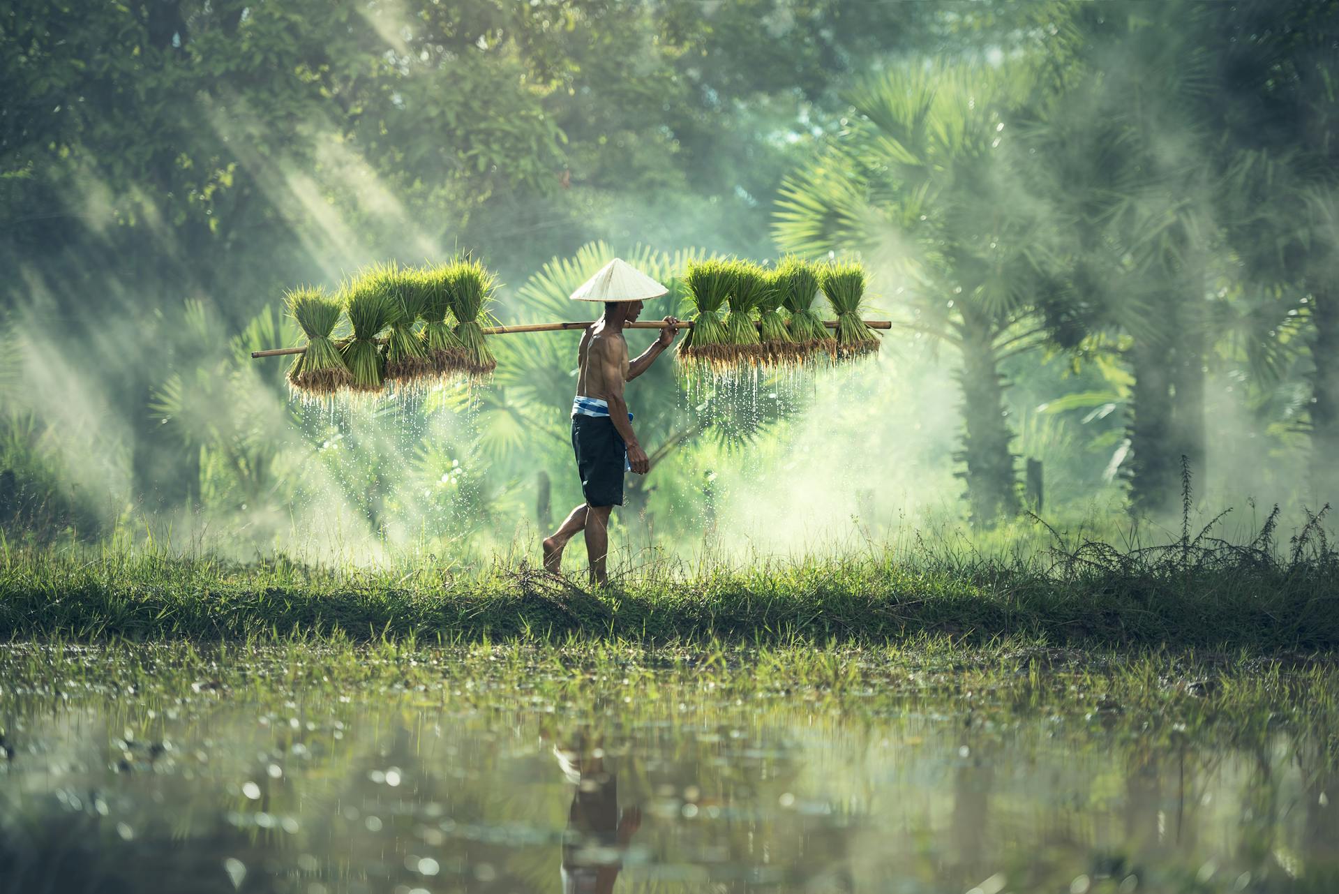 Start your journey with Muang Sing’s serene glow